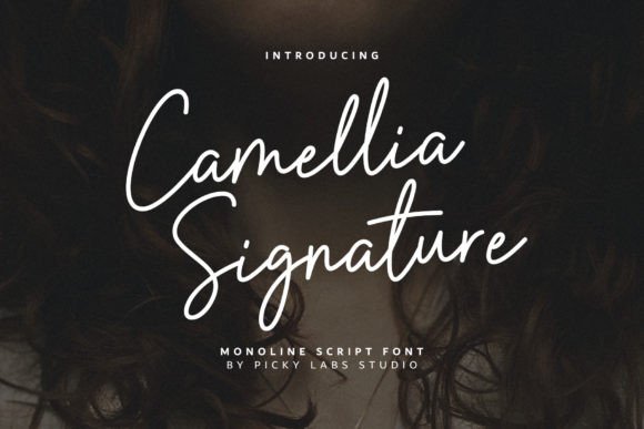 Camellia Signature: The Elegant Typeface for Brand Identity