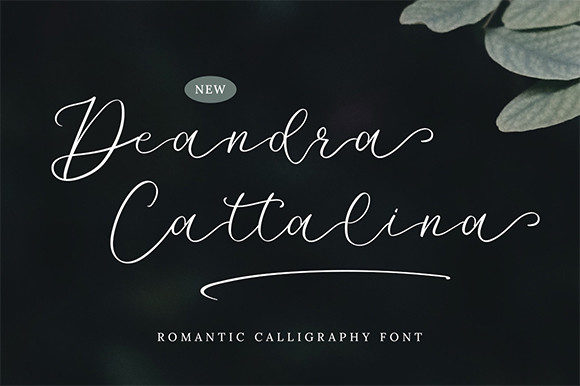 Deandra Cattalina: A Romantic Script Typeface for Editorial Design