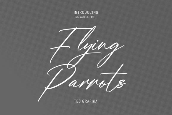 Flying Parrots: The Expressive Typeface for Bold Campaigns