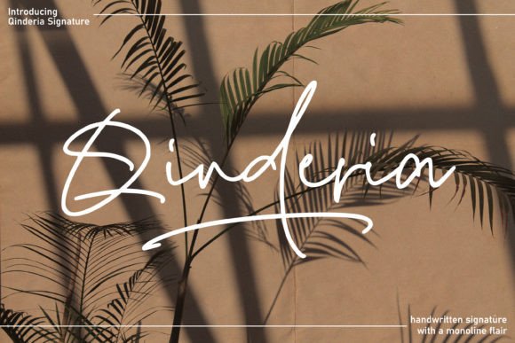 Qinderia Signature: A Designer’s Honest Review